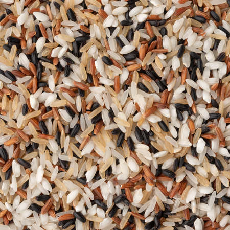 Closeup, top view of assorted raw rice. Food backdrop.の写真素材
