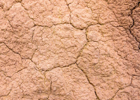 Closeup of dry land. Cracked ground surface.