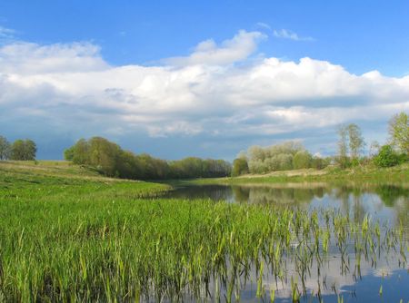 River bankの写真素材