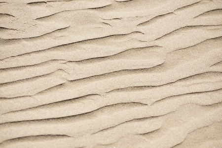 Rippled sea coast sand background