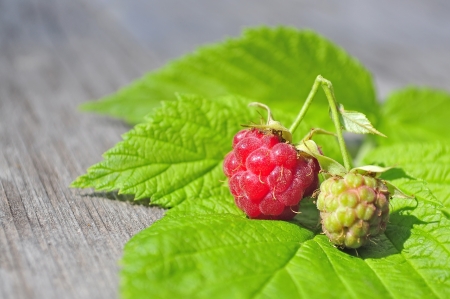 Raspberry on wodden background