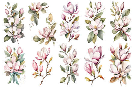 Set of floral elements. Rose, Peony, Poppy, Magnolia, Protea. Flower and green leaves. Wedding concept - flowers. Floral poster, invite. Arrangements for greeting card or invitation design. Watercolor illustration set.の素材