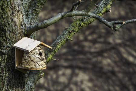 nest boxes on a treeの写真素材