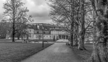 old trees in a Park and historcal Buildingsのeditorial素材