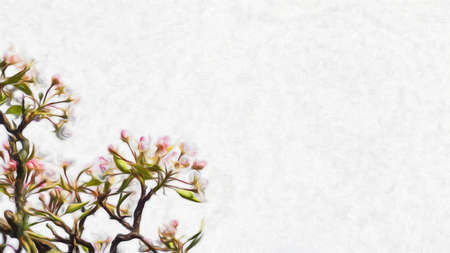 tree blossom illustrationの写真素材