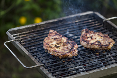 meat on a charcoal grill - outdoor cookingの写真素材
