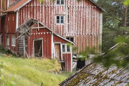 lost place in a norway forestの写真素材