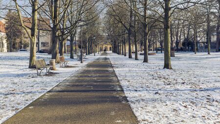 Orangery Gera and kitchen garden, historical buildings and parks in thuringiaの写真素材