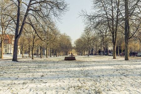 Orangery Gera and kitchen garden, historical buildings and parks in thuringiaの写真素材