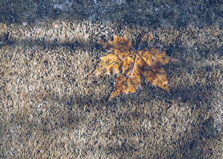 transition from autumn to winter