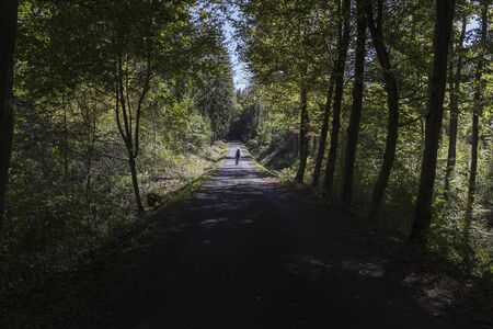 a woman enjoy nature alone