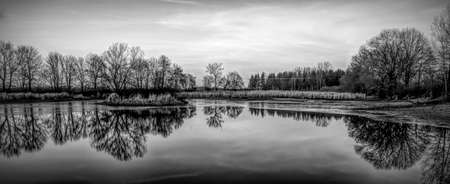 cold winter landscape in black and whiteの写真素材