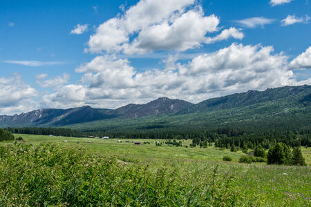 distant mountains rise above the wild forest. landscapeの写真素材