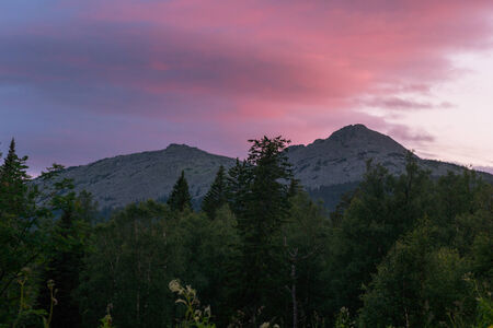 distant mountains rise above the wild forest. landscapeの写真素材