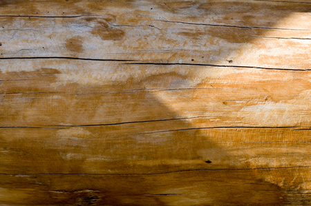 Old wood surface background textureの写真素材