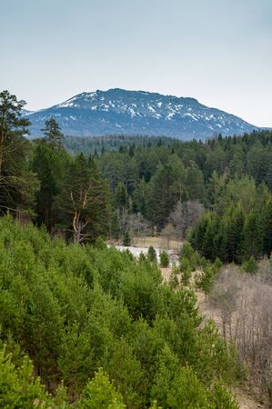 Mountain peak rises above the green spring forestの写真素材