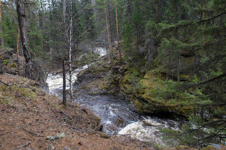 A rough mountain river flows in a forest gorgeの写真素材