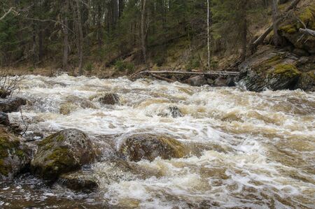 A rough mountain river flows in a forest gorgeの写真素材