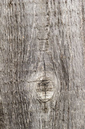 Old wood surface background textureの写真素材