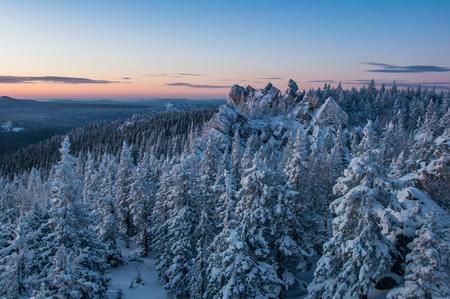 Snow-covered forest in the mountains at dawn. Winter landscape.の写真素材