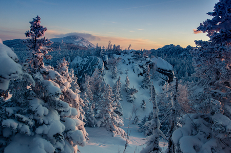 Snow-covered forest in the mountains at dawn. Winter landscape.の写真素材