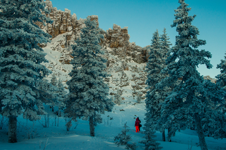 Snow-covered forest in the mountains at dawn. Winter landscape.の写真素材