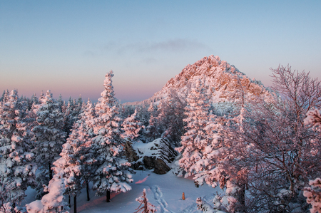 Snow-covered forest in the mountains at dawn. Winter landscape.の写真素材