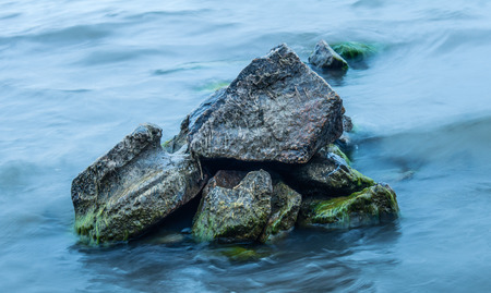 Wet stones, covered with green mud among the wavesの写真素材
