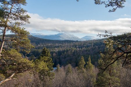snow-capped peaks of Mount Iremel over the autumn forestの写真素材
