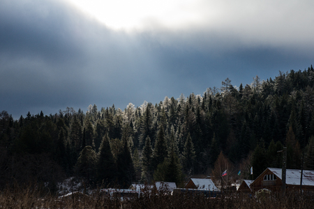 rays of the sun illuminate the tops of the pines through the cloudsの写真素材