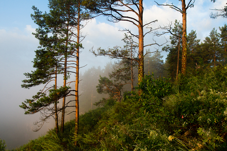 The morning mist rises over the river canyon. Landscapeの写真素材
