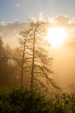 morning sun breaking through the fog. landscapeの写真素材