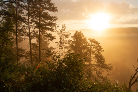 morning sun breaking through the fog. landscapeの写真素材