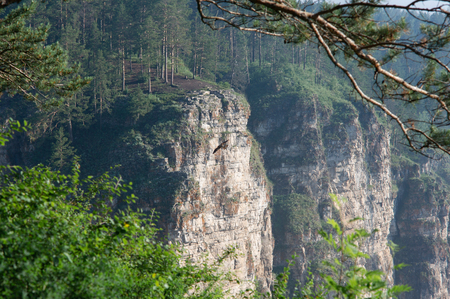hawk flying along the rocks in a river's Ay canyonの写真素材
