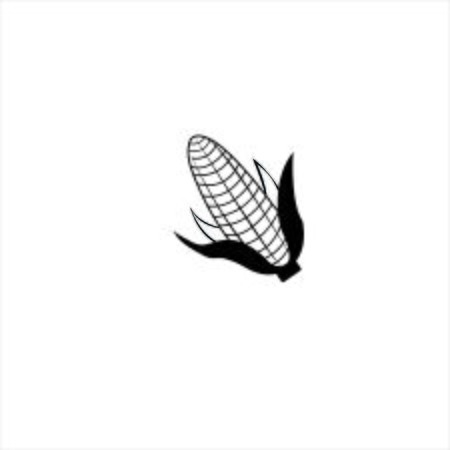 corn vector illustrationのイラスト素材