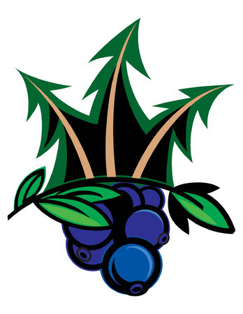 Forest Blueberryのイラスト素材