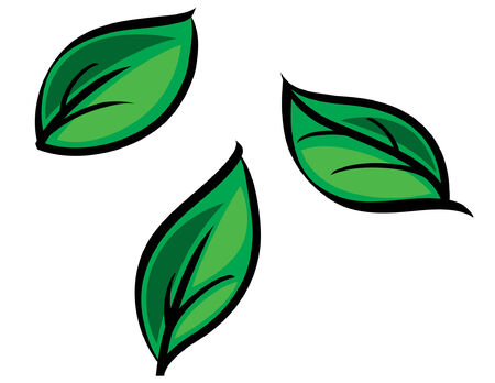 Green leavesのイラスト素材