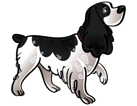 Colorful vector illustration of the dog Cocker Spanielのイラスト素材