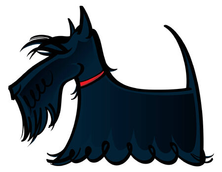 Colorful vector illustration of the dog Scottieのイラスト素材
