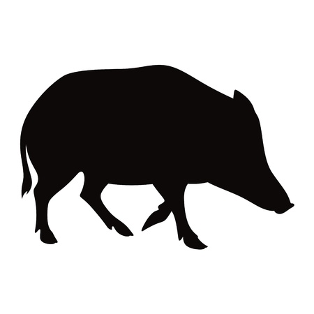 Boar animal pig beast nature vector illustrationのイラスト素材