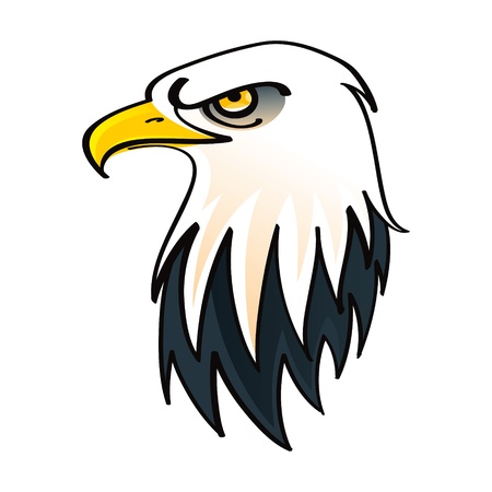 Head of the Bald Eagle - symbol of the United States of America birdのイラスト素材