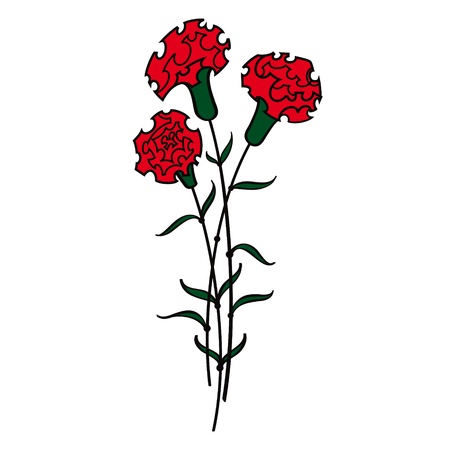 Red Carnations flower floraのイラスト素材