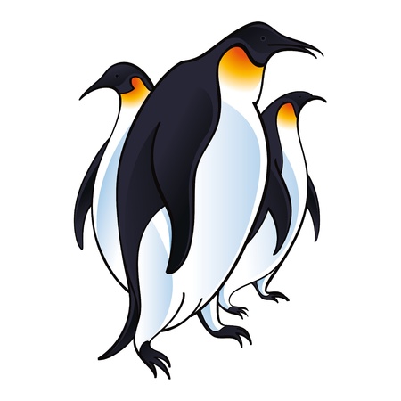 Arctic Penguins bird fauna zooのイラスト素材