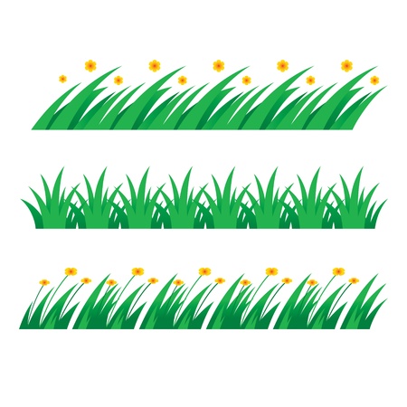 Grass green field lawn flower nature herbのイラスト素材