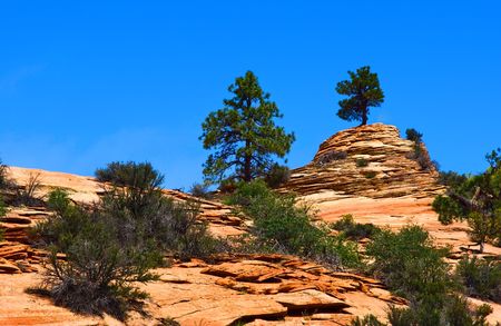 Slopes of Zion canyon. Utah. USA.の写真素材