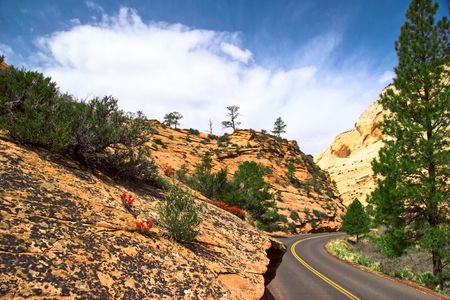Slopes of Zion Canyon. Utah. USAの写真素材