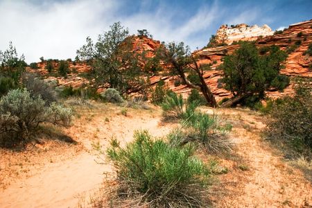 Slopes of Zion Canyon. Utah. USAの写真素材