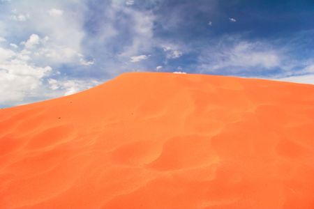 View on Coral Pink Sand Dune National Park. Utah. USAの写真素材