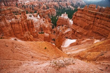 Inside the Bryce canyonの写真素材