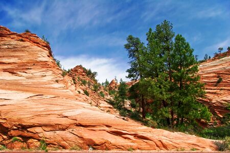 Slopes of Zion canyon. Utah. USA.の写真素材